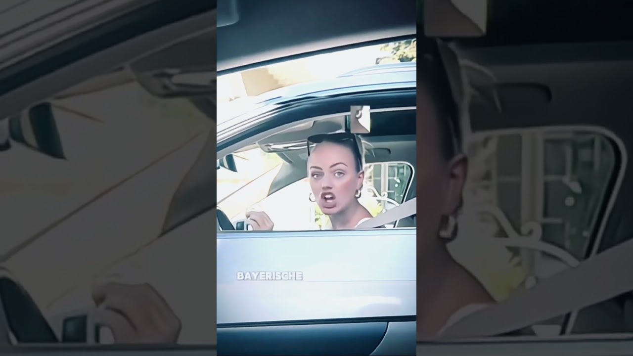 Bayershe motoren warke