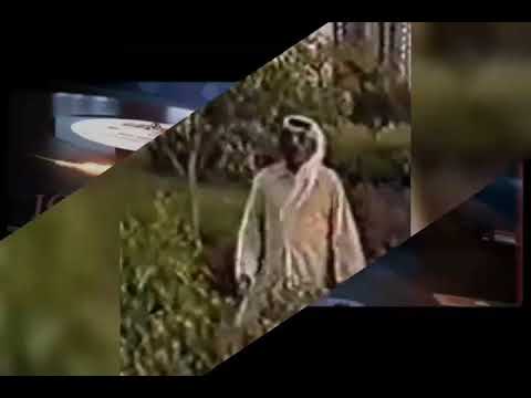 مالك القلب ومعاليجه علي بن روغه 10 نادر