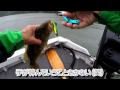 Lake Bass Fishing 2014.9