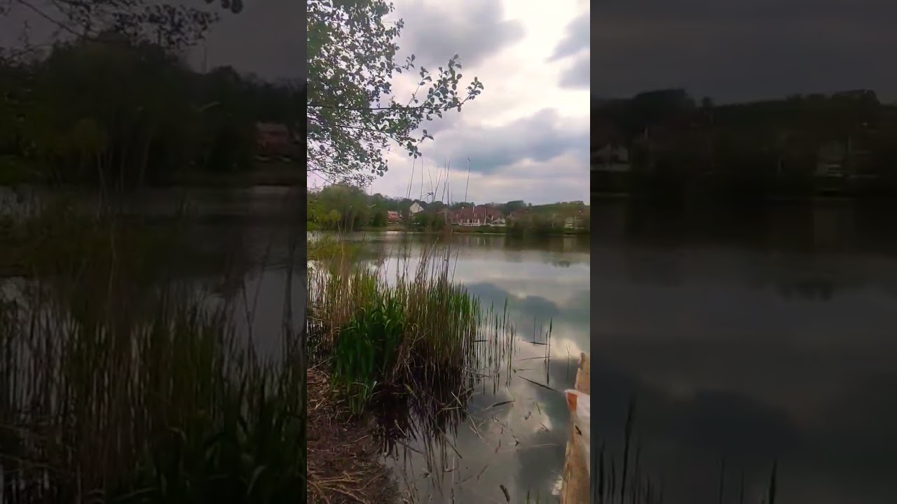 Chaville rive gauche near the Paris France 2023 | a short video