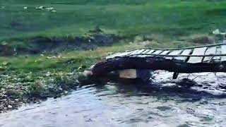 Akkışla Kesdoğanda Huzurlu Ortam