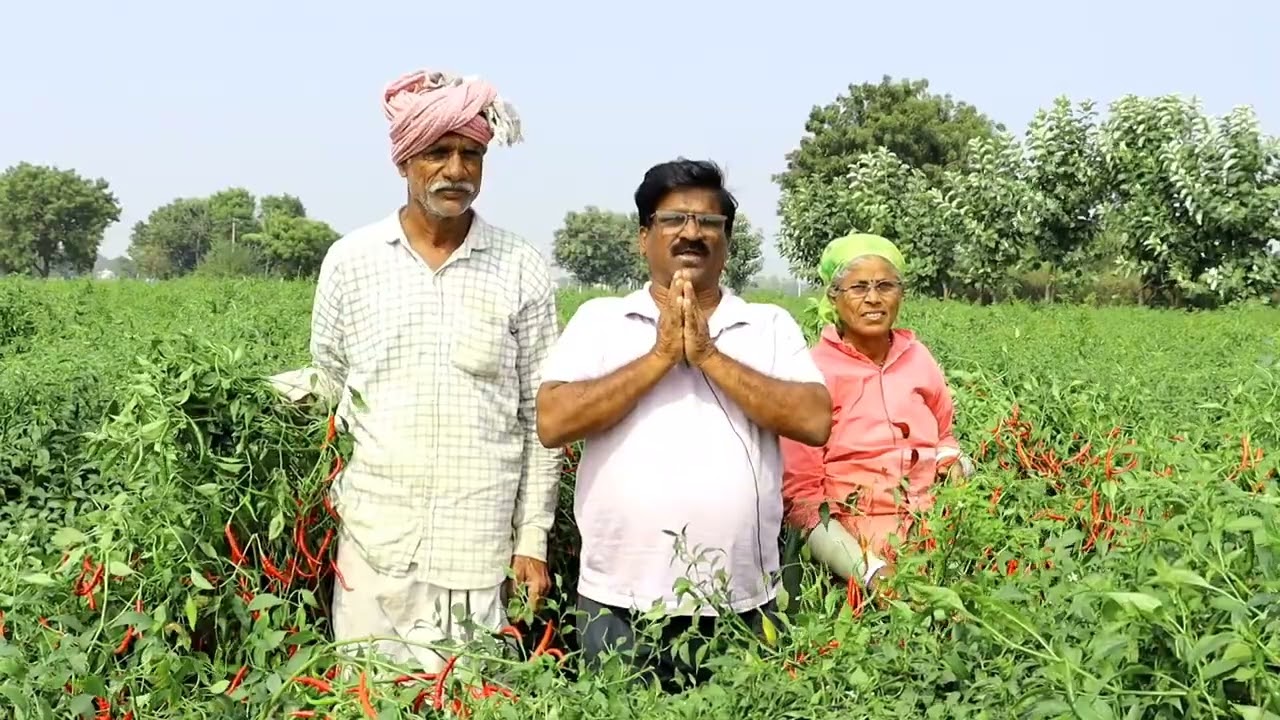 maa seeds Bhavaswini . call me 7569780551