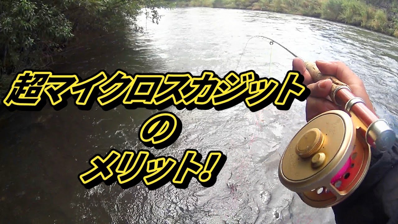 【スカジットキャスト】８種類の魚を誘うテクニックを紹介しています！