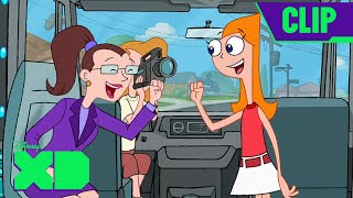 Leave the Busting to Us! | Phineas and Ferb | Full Scene | @disneyxd