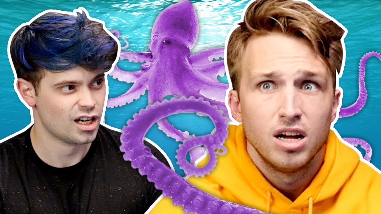 Why Shayne Is Afraid Of Animals - SmoshCast #36 Highlight - YouTube