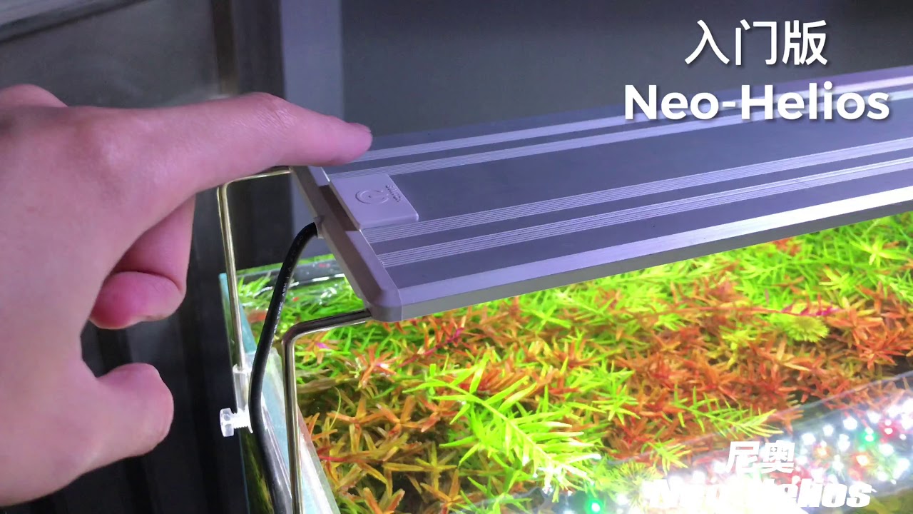Neo 尼奥水草养殖灯具显色鉴赏 Youtube