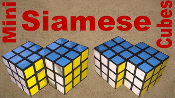 Mini Siamese Cube Mods Review