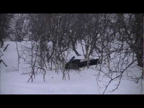 Winter 2012 -