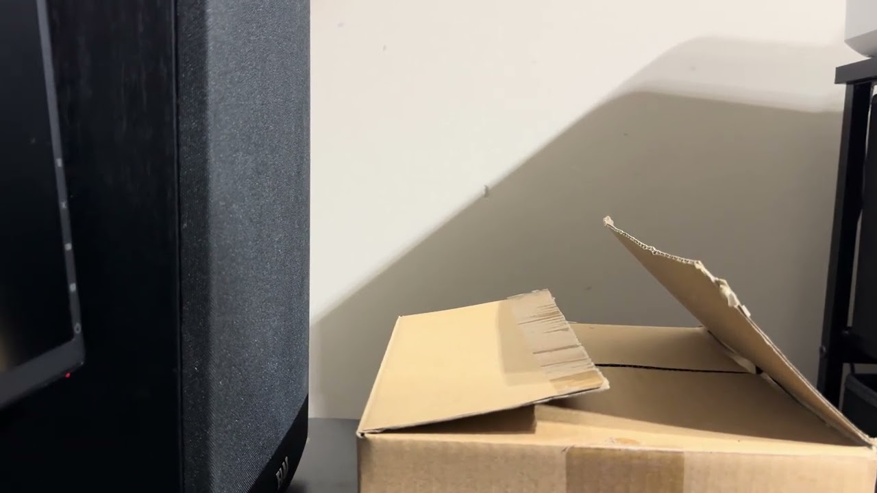 Elac Debut 2.0 B6.2 Bookshelf Speakers Playing “Into the Great Wide Open”