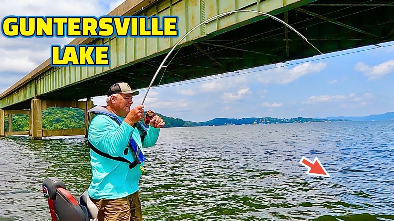 Fishing GUNTERSVILLE LAKE on the Tennessee River !!(BIG BAITS = BIG FISH)