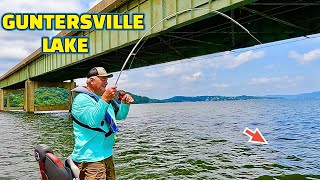 Fishing GUNTERSVILLE LAKE on the Tennessee River BIG BAITS BIG FISH