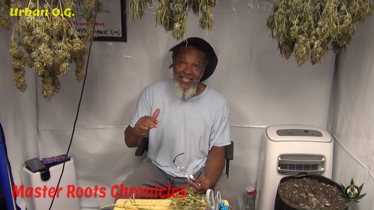 G3: The Trim (Day 1)