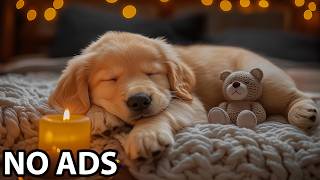 12 Hours Music For Dogs 🎹 Dog Relaxation Music & Dog Soothing Sounds For Anxiety Relief screenshot 5