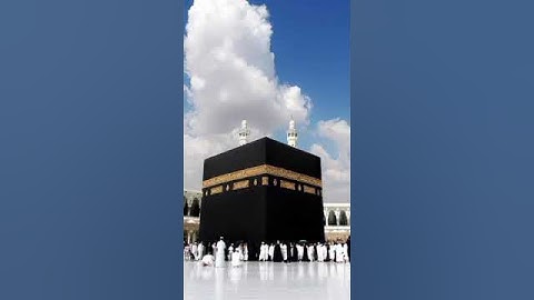 بعض من آيات سورة الحجر بصوت القارئ هزاع البلوشي ❤️