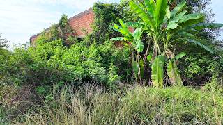ABANDONED for 5 YEARS — This OVERGROWN House Completely Disappeared Into the Jungle