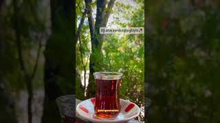 Ağustos Ayinda Kişta Gi̇bi̇yi̇m