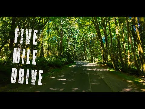 Question: How Long Is A 5 Mile Drive - Bikehike