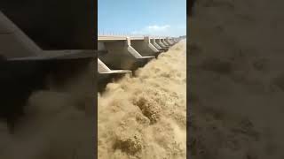 After Dam flood gate operating||flood in river #shorts #flood #dam