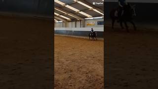 Belle Ze Maakte Een Wissel Me Dat Was Ijgenlijk Nier De Bedoeling