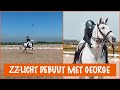 Met George op wedstrijd! | PaardenpraatTV