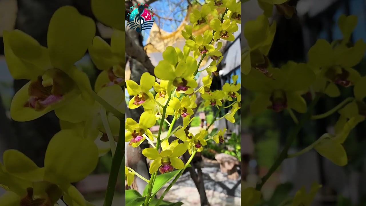 Вдохновитесь за 30 секунд цитатами, которые меняют вашу жизнь! 