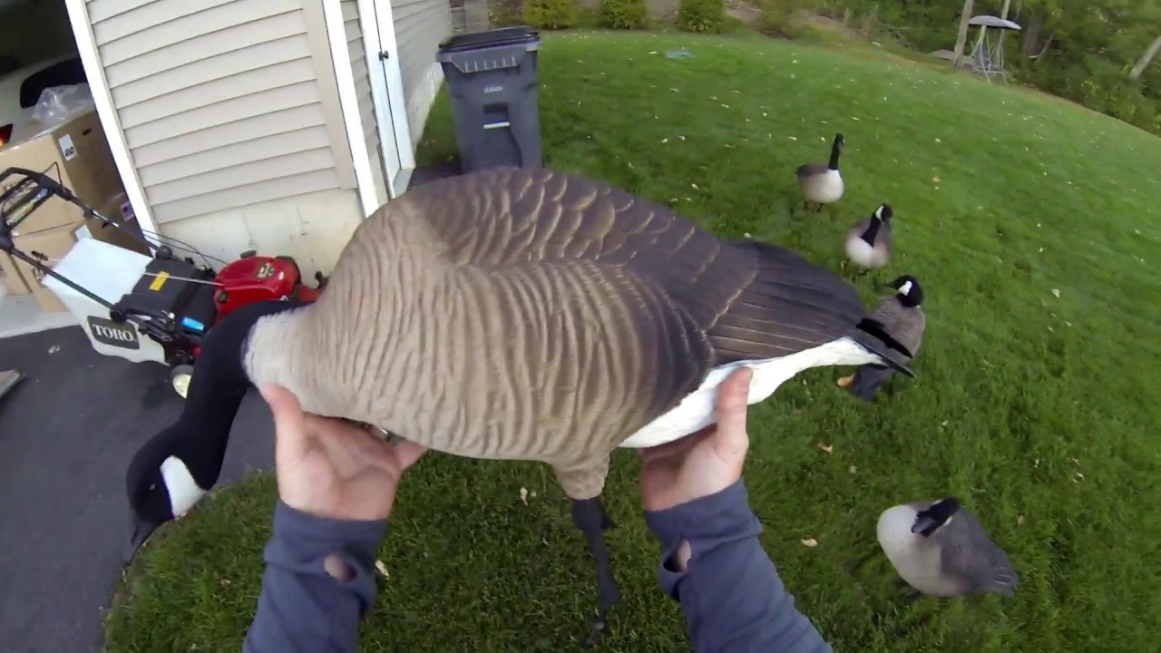 Unboxing the new DSD A.C.E. 2.0 honker decoys! YouTube