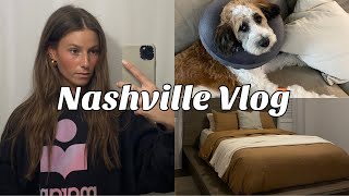 NASHVILLE VLOG: Changing up my hair, Rue has surgery, Celebrating Dylan's bday, Guest room updates