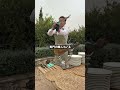 ハモンは最高