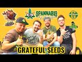 Grateful seeds company spannabis 2023 series episode 3 barcelona spain