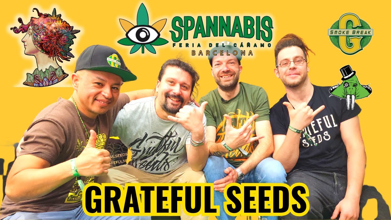 Grateful Seeds Company Spannabis 2023 Series Episode #3. Barcelona, Spain.
