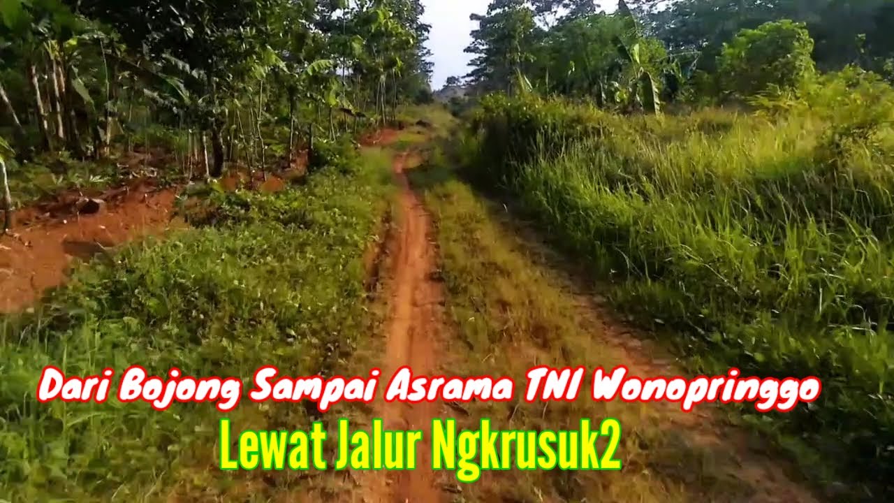 Bojong ke Wonopringgo lewat Jalan Ndesep