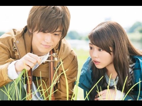 EXILE岩田剛典×高畑充希主演映画「植物図鑑」