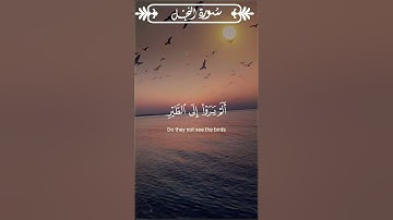 {والله أخرجكم من بطون أمهاتكم} الآية 78 / 79 من سورة النحل | Sourate An-Naḥl