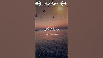 {والله أخرجكم من بطون أمهاتكم} الآية 78 / 79 من سورة النحل | Sourate An-Naḥl