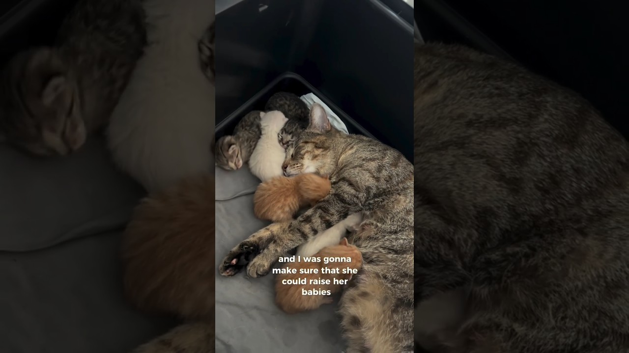 Start of a beautiful journey in her life.