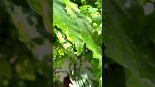 Рекомендации - Мудрость #правильныеслова #shorts #motivation #деньги #мудрость #психология #жизнь