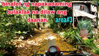 Binalot ng napakadaming bulaklak na dilaw lusong sa area#