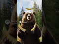 Oh it’s just a Kodiak Bear 38