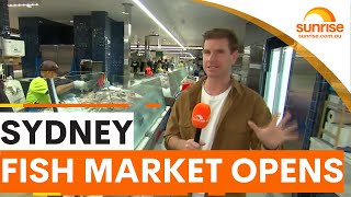 The New Sydney Fish Market Opens Today Sam Mac Gives Us An Inside Look  Sunrise
