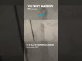 АЛАНЬЯ. Victory Garden. Квартира под ВНЖ #недвижимостьалания