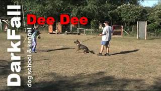 Dee Dee DarkFall bitework training
