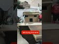 Automatic rain detection system