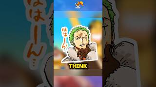 Zoro Suggested Something Else