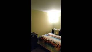 8202 Warbler Way, Indianapolis, IN 46256