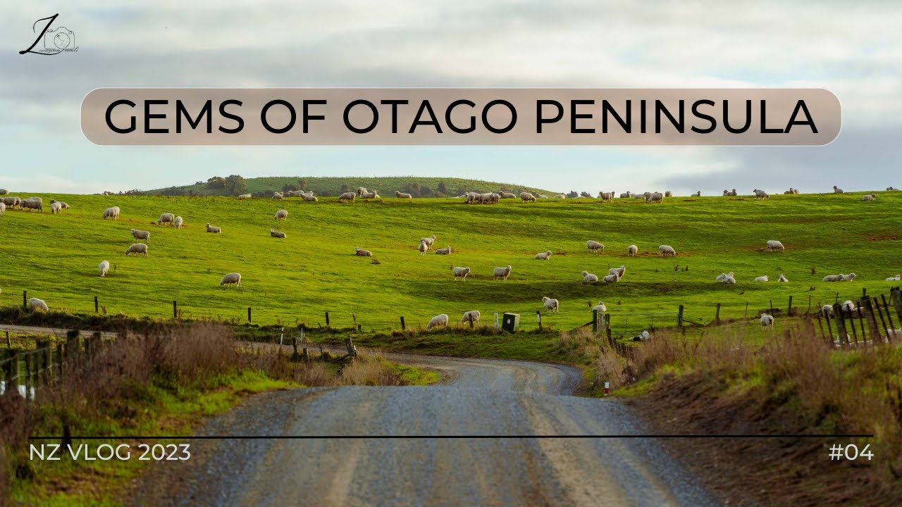 Unveiling the Hidden Beauty of East Coast at Sunset (NZ Vlog 4/11)