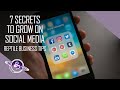 7 In Depth SECRETS to Growing on Social Media | Ball Python Business Tips