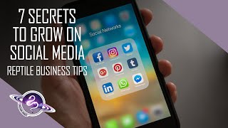 Famous 7 In Depth SECRETS to Growing on Social Media | Ball Python Business Tips Profile