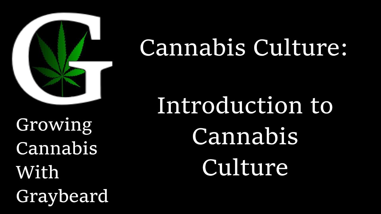 Cannabis Culture: Introduction to Cannabis Culture