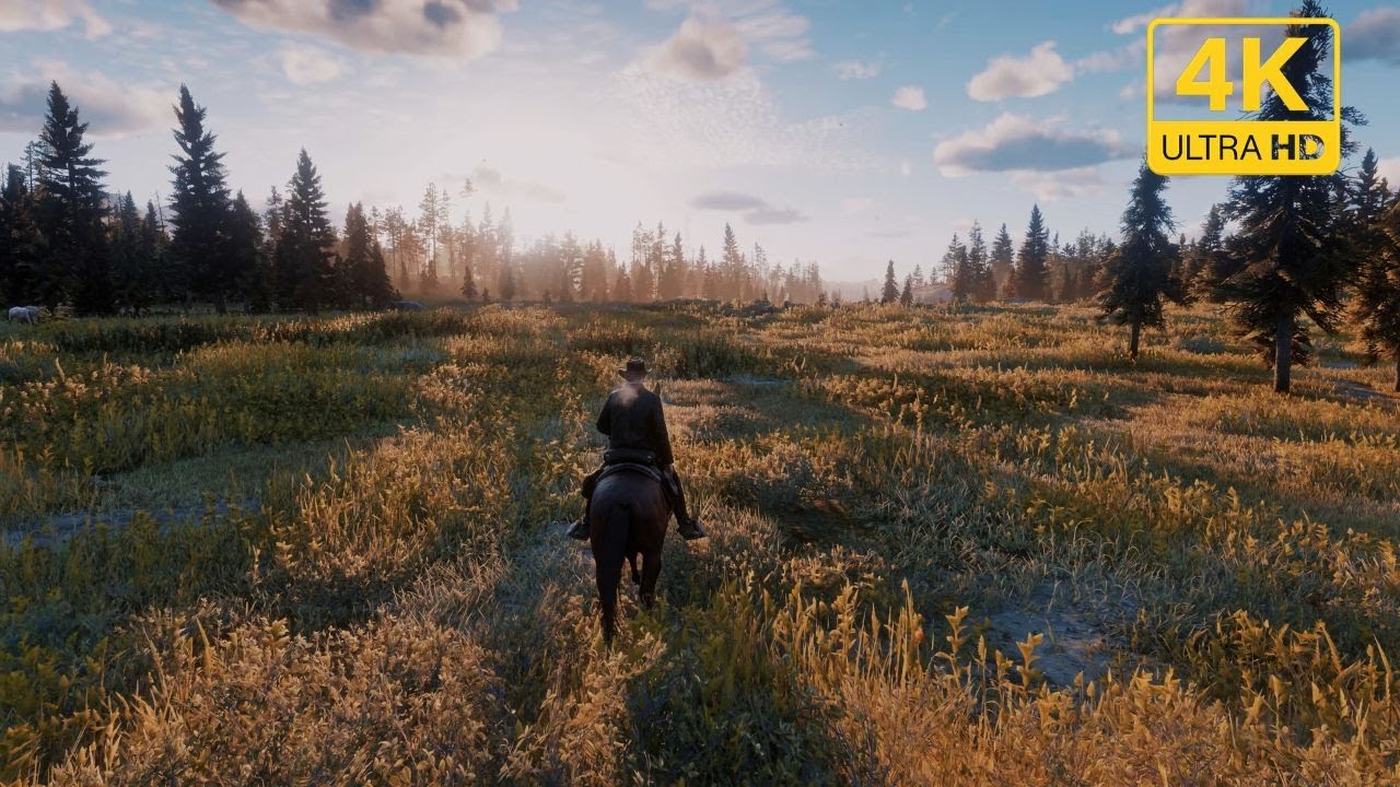 RDR2 | 4K 60FPS HDR Modded | RTX 5080 - YouTube