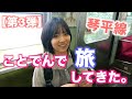 【ことでん旅】琴平線③栗林庵/しんぺいうどん/四国ショップ88